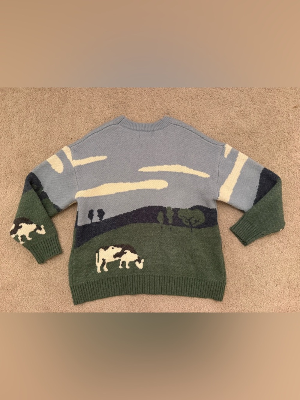 EUC Aelfric Eden Multicolor Cow Pasture Graphic Knit Pullover Sweater Size Large - Picture 5 of 6